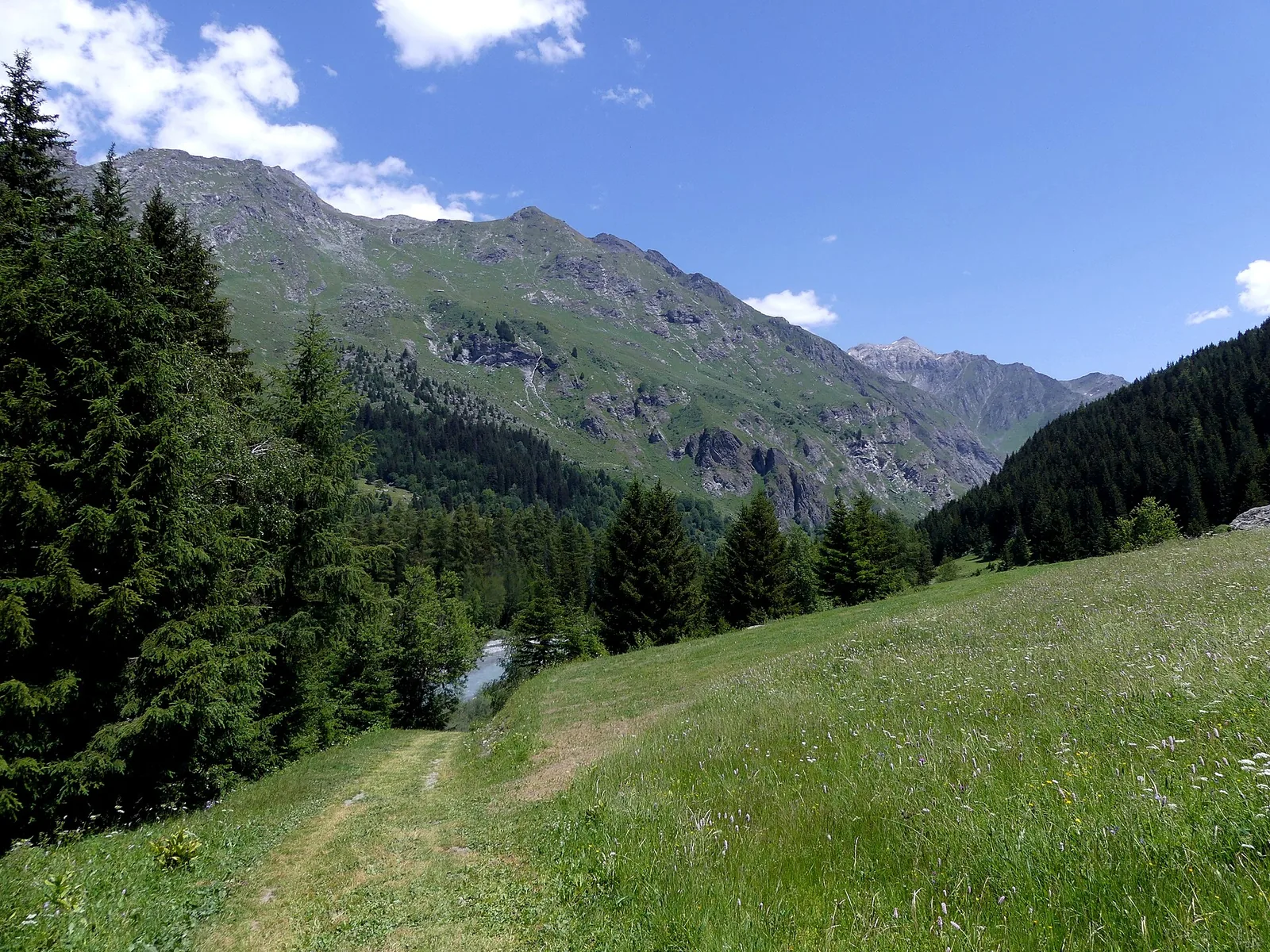 Sentier côté est du vallon de Champagny-le-Haut en été