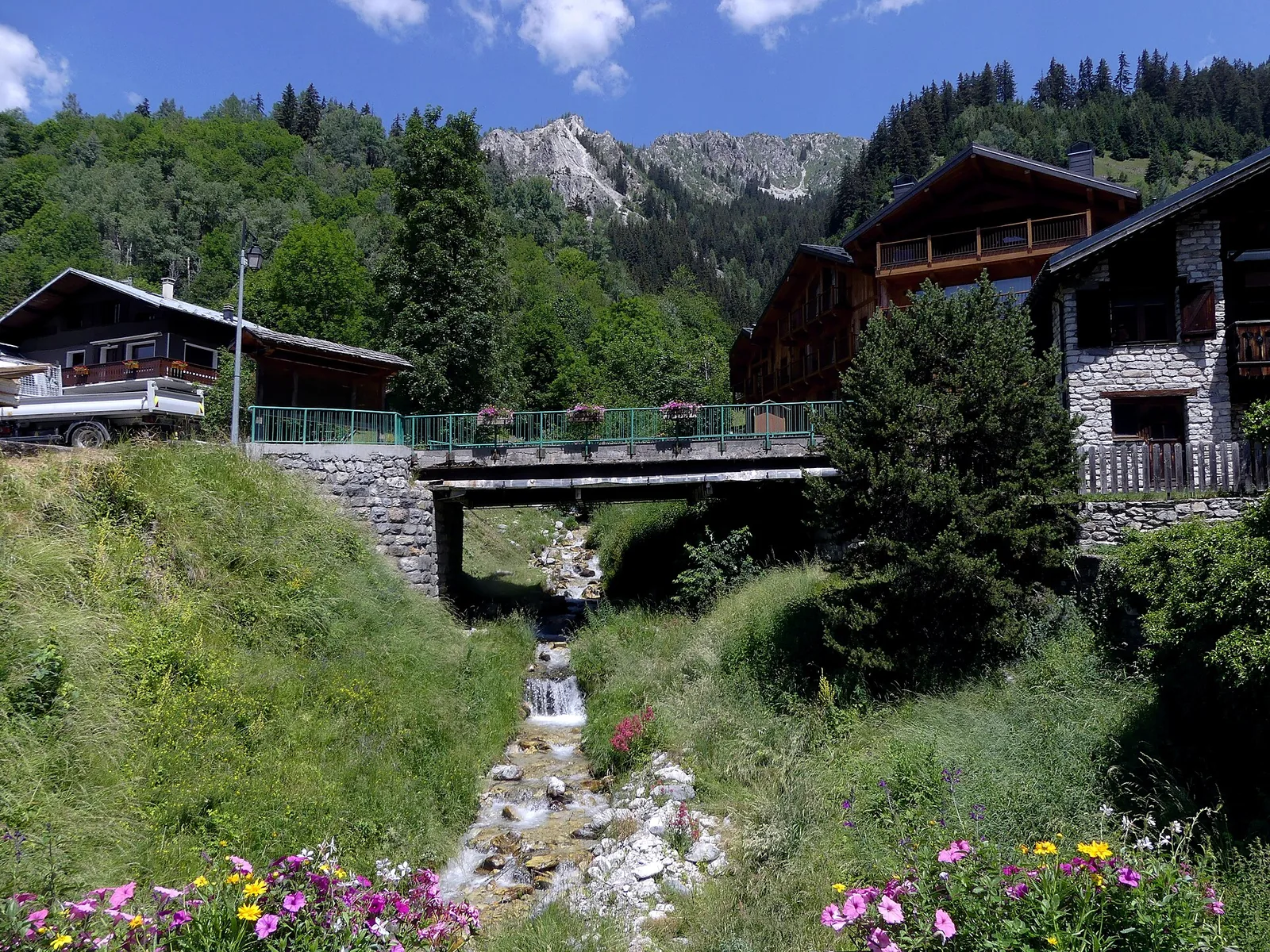 Torrent du Remous entre berges rocheuses près de Champagny-en-Vanoise en été